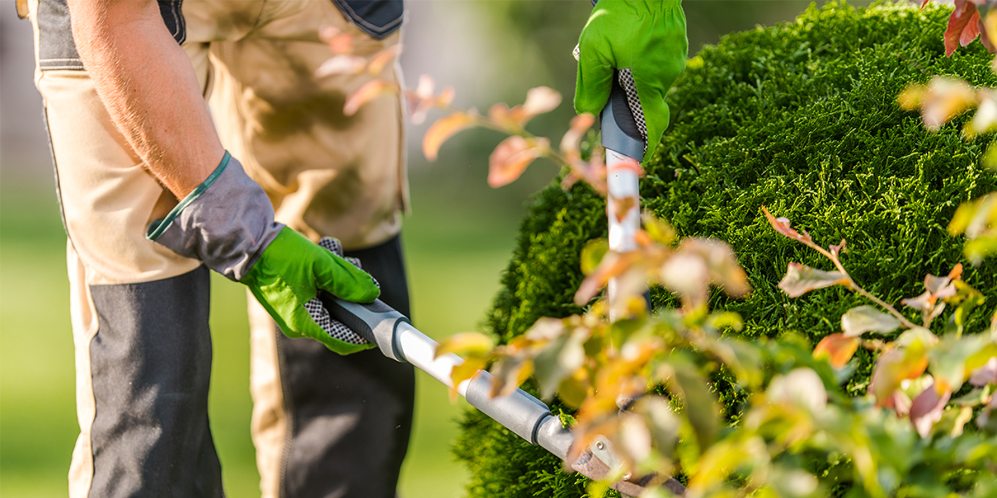 Irrigation Installation in Everett