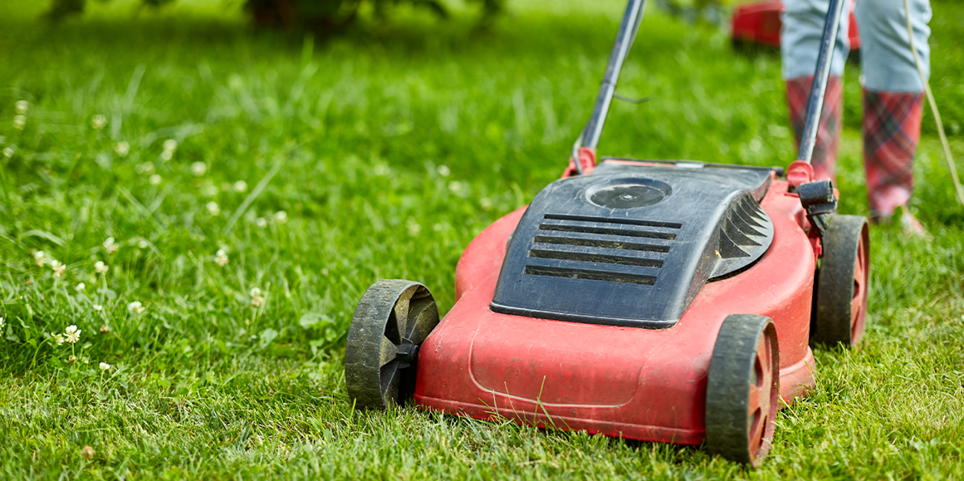 Lawn Aeration Services in Washington State