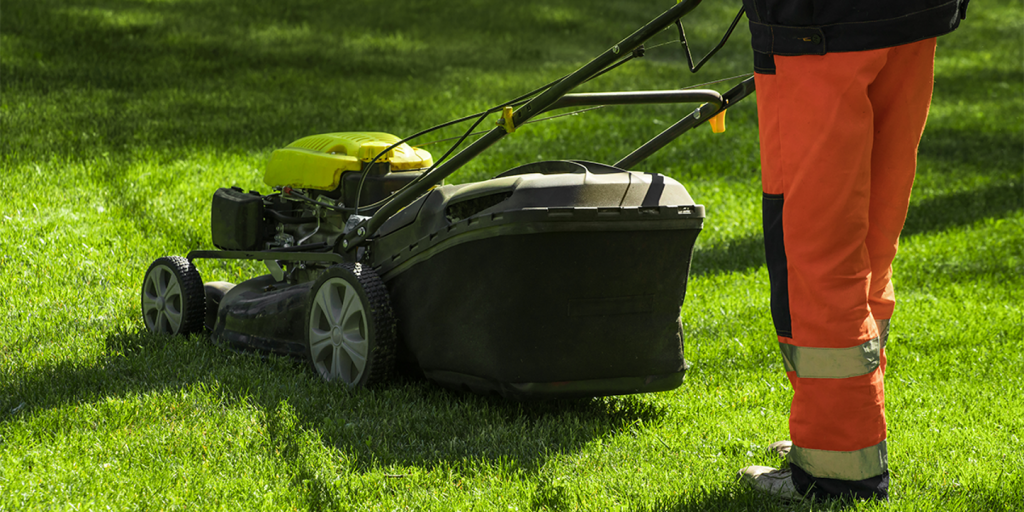 Landscape Design in Everett