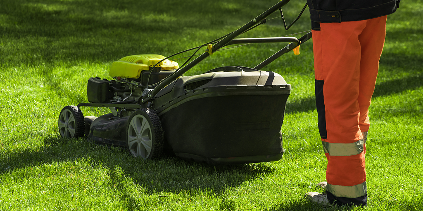Landscape Design in Everett