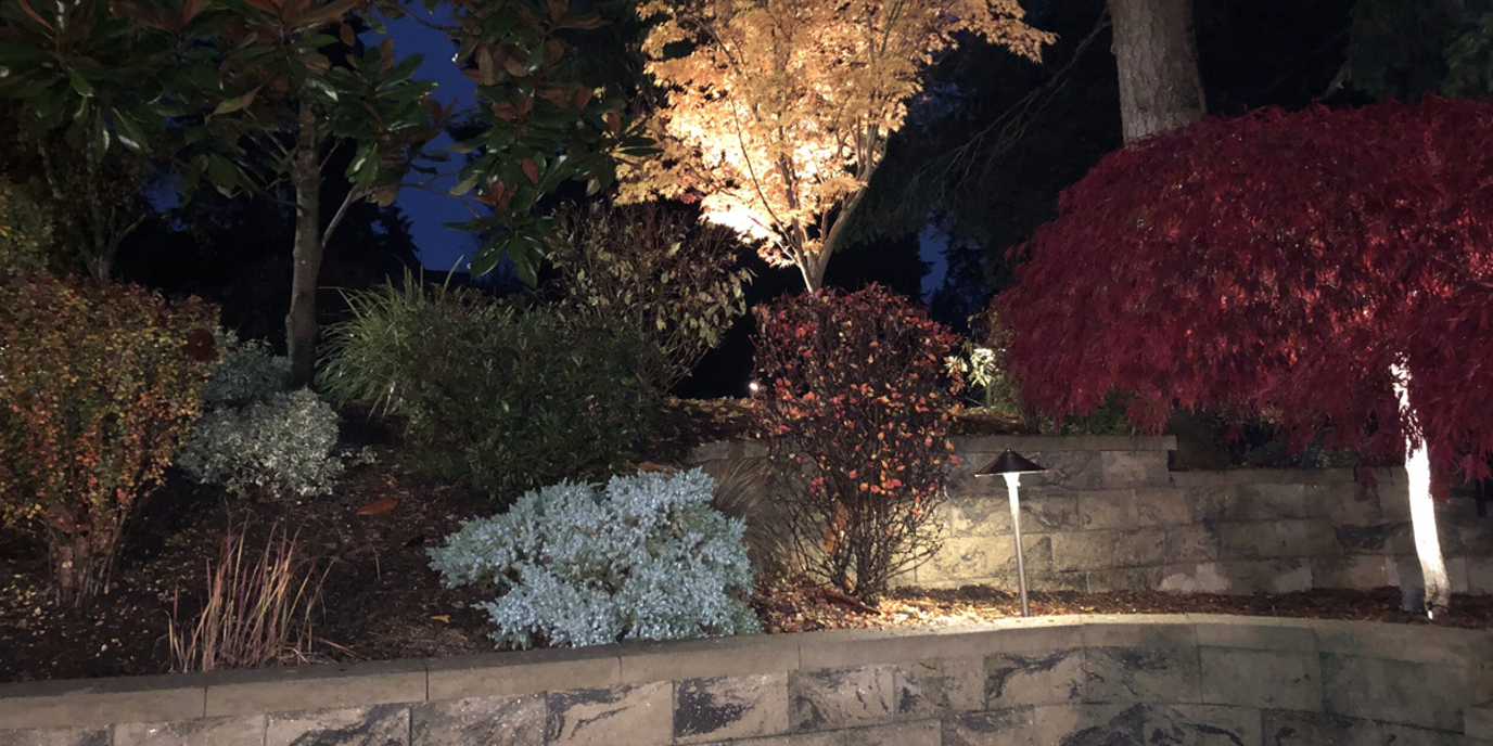 Commercial Low Voltage Lighting Installation in WA