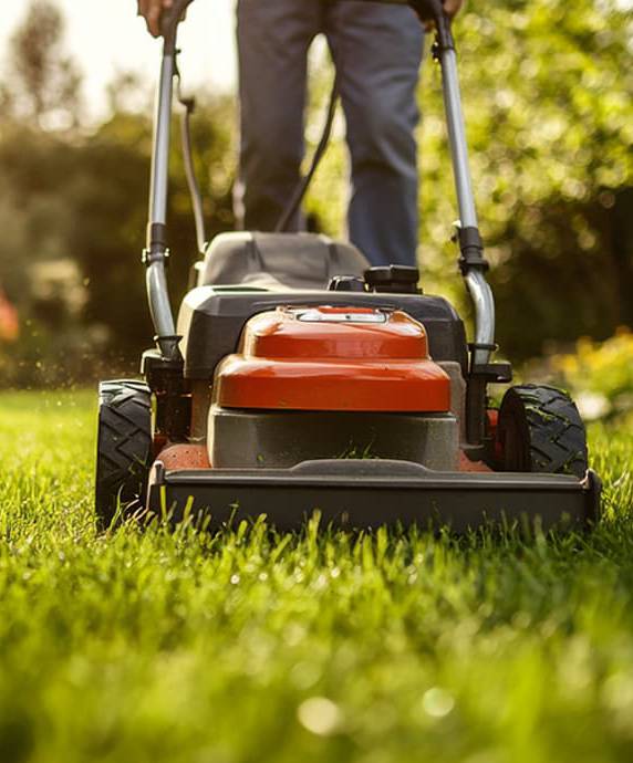 Separates-Professional-Lawn-Care