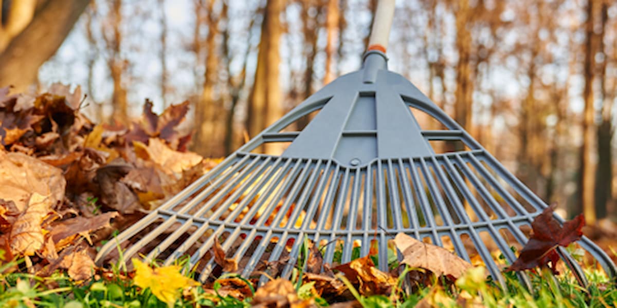 Fall Cleanup Landscaping Services